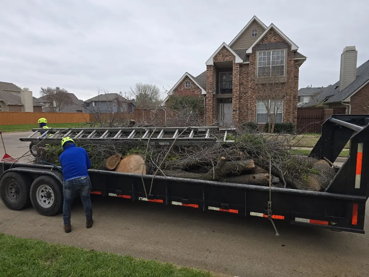 Expert Tree Pest Control with proper safety equipment in Vienna
